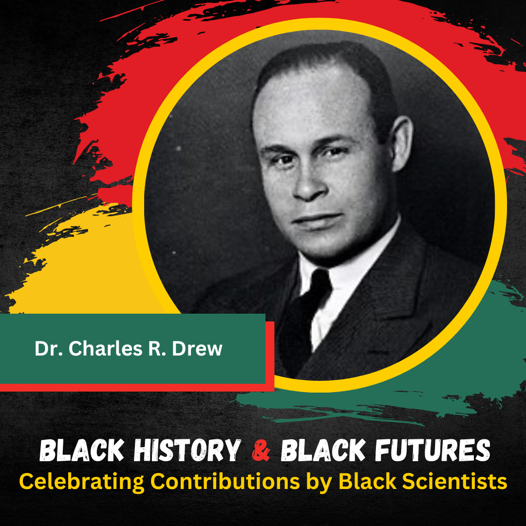 Black History and Black Futures: Celebrating 28 Days of Contributions ...