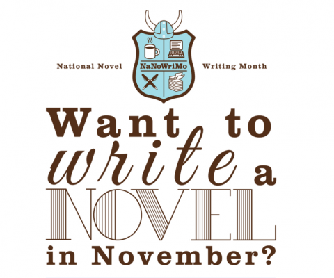 Want to write a novel in November?