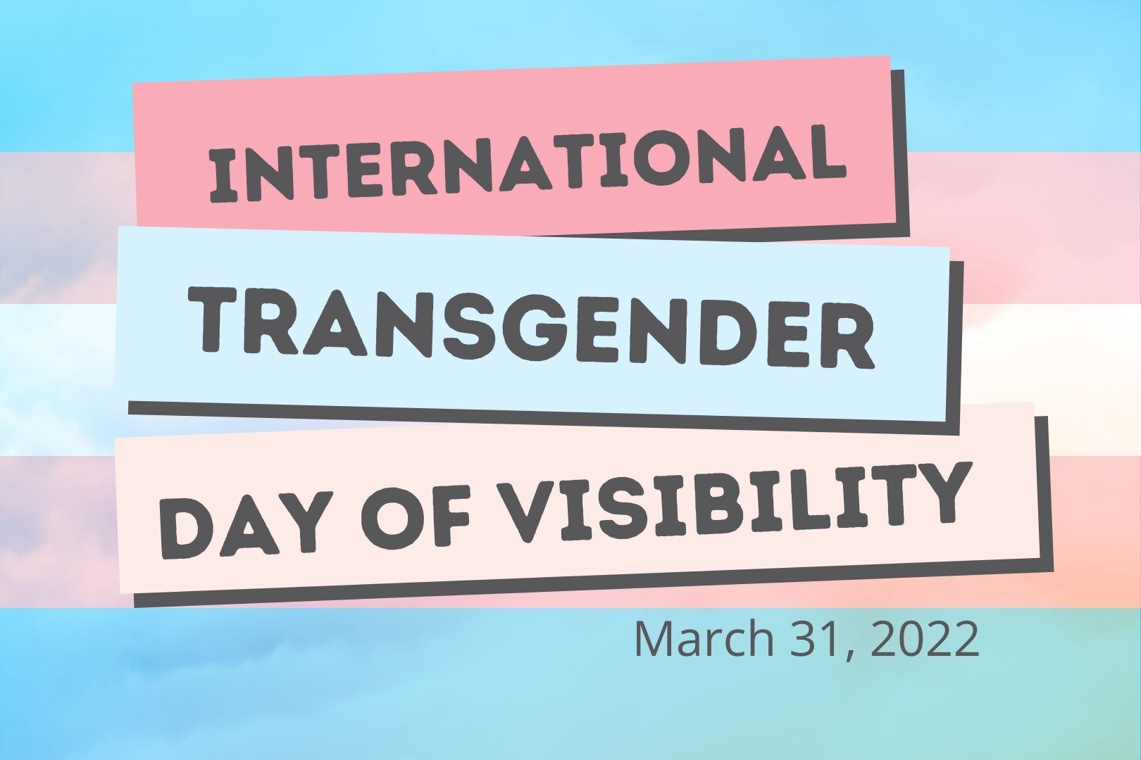 Transgender Day Of Visibility 2025 - Drusi Rosemarie