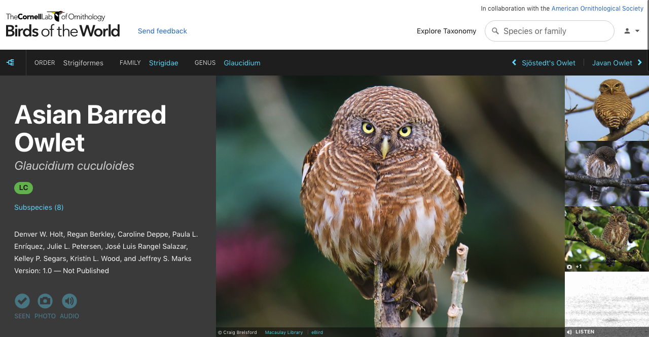 A screenshot of the Birds of the World platform. 