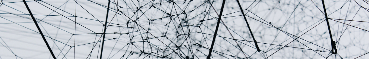 Photo of a network of cables connecting to create a structure. 