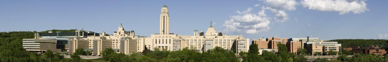 Photo of University of Montreal campus.