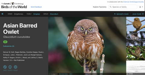 A screenshot of the Birds of the World platform.